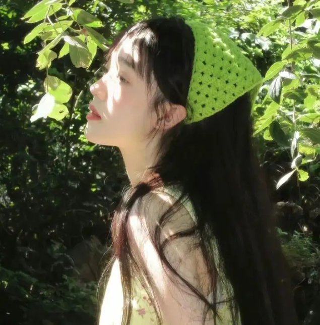 朕的刺客女友